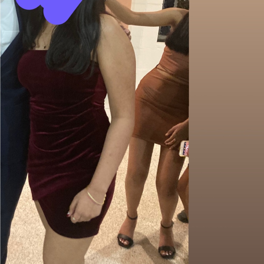 Windsor Velvet Wine Mini Dress